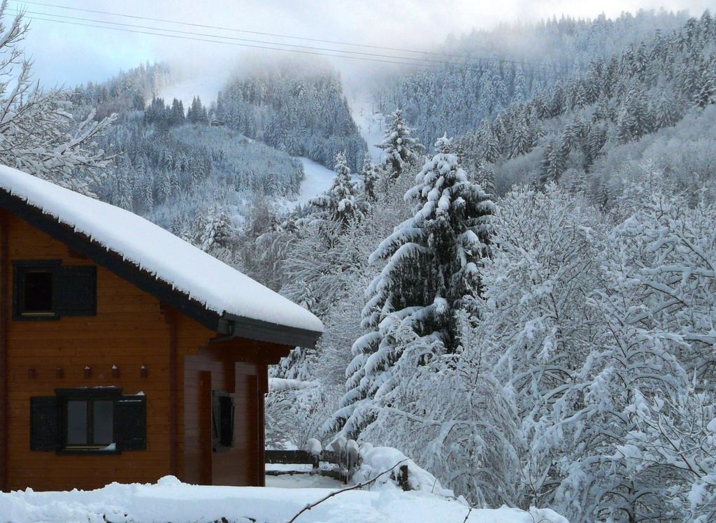 Chalet Les Sapins Argentes ジェラールメ 部屋 写真