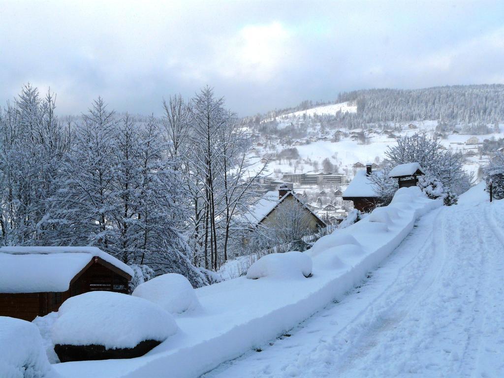 Chalet Les Sapins Argentes ジェラールメ 部屋 写真