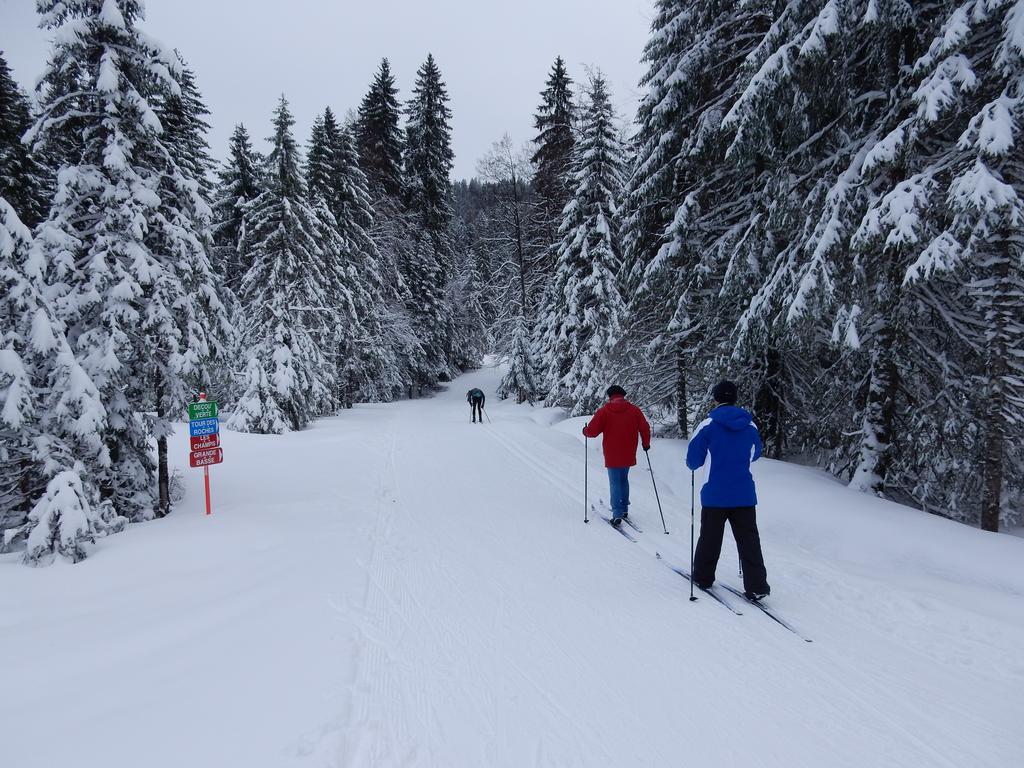 Chalet Les Sapins Argentes ジェラールメ エクステリア 写真