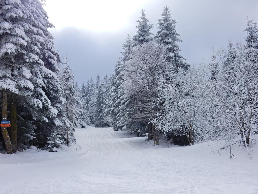 Chalet Les Sapins Argentes ジェラールメ エクステリア 写真
