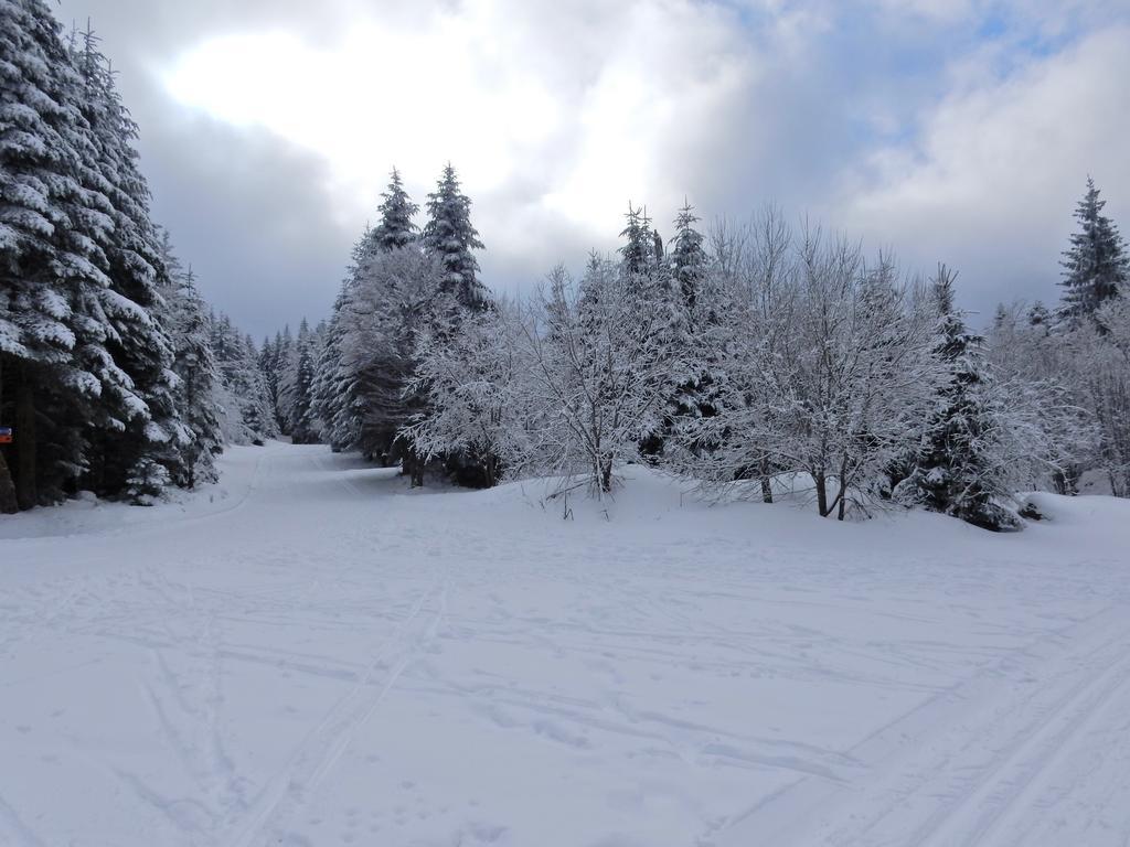 Chalet Les Sapins Argentes ジェラールメ エクステリア 写真