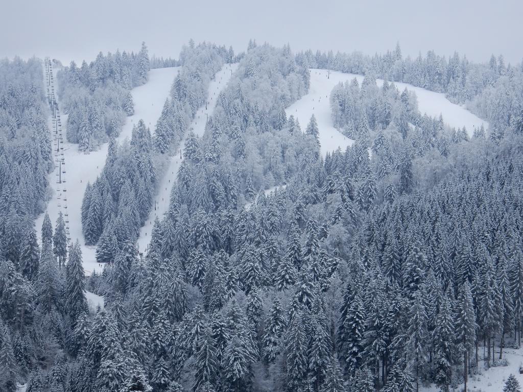Chalet Les Sapins Argentes ジェラールメ エクステリア 写真