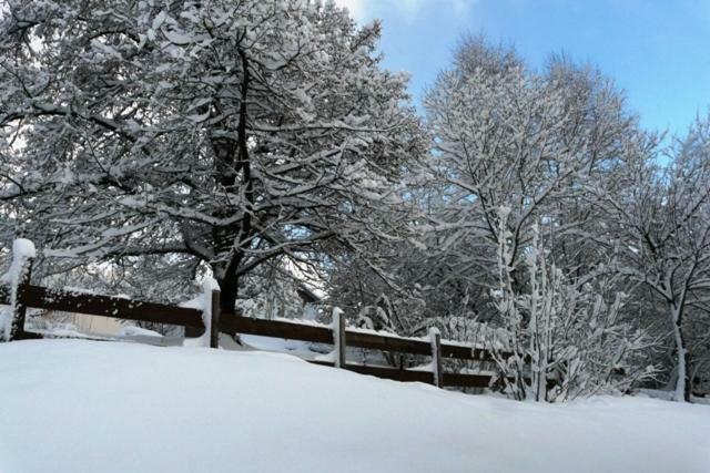 Chalet Les Sapins Argentes ジェラールメ エクステリア 写真