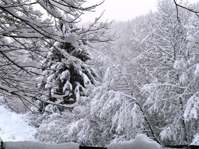 Chalet Les Sapins Argentes ジェラールメ 部屋 写真